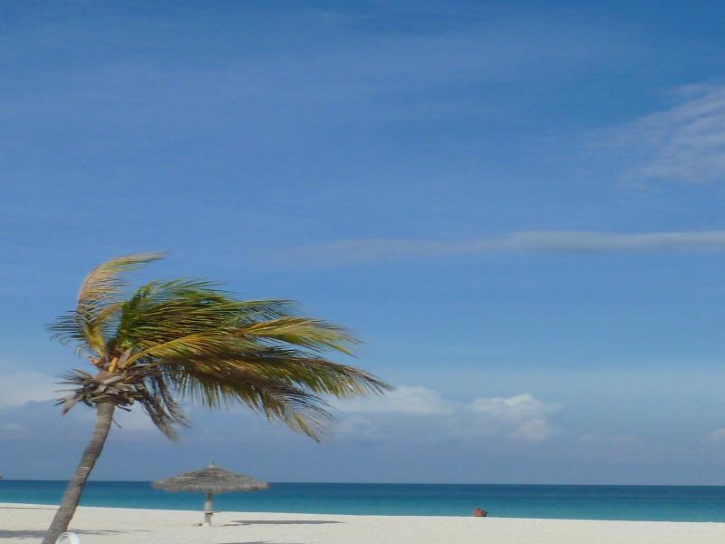Mvc Eagle Beach Palm Beach Exterior foto